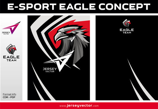 E-SPORT EAGLE CONCEPT