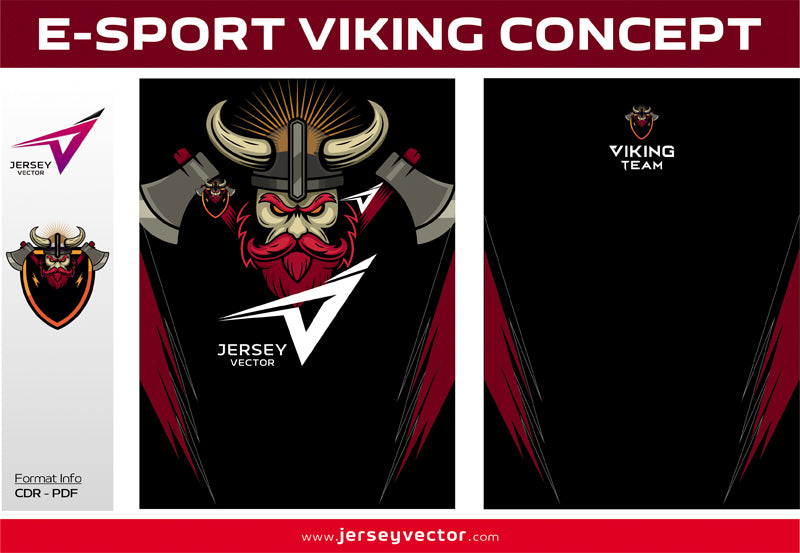 E-SPORT VIKING CONCEPT