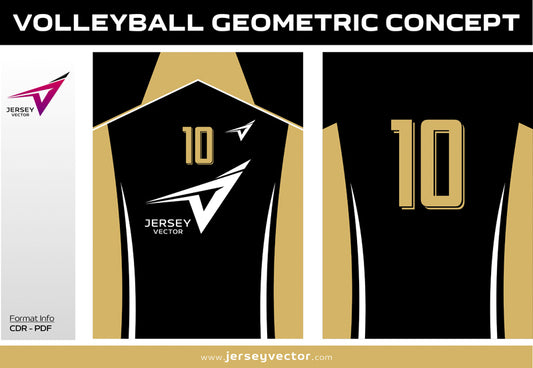 VOLLEYBALL GEOMETRIC CONCEPT